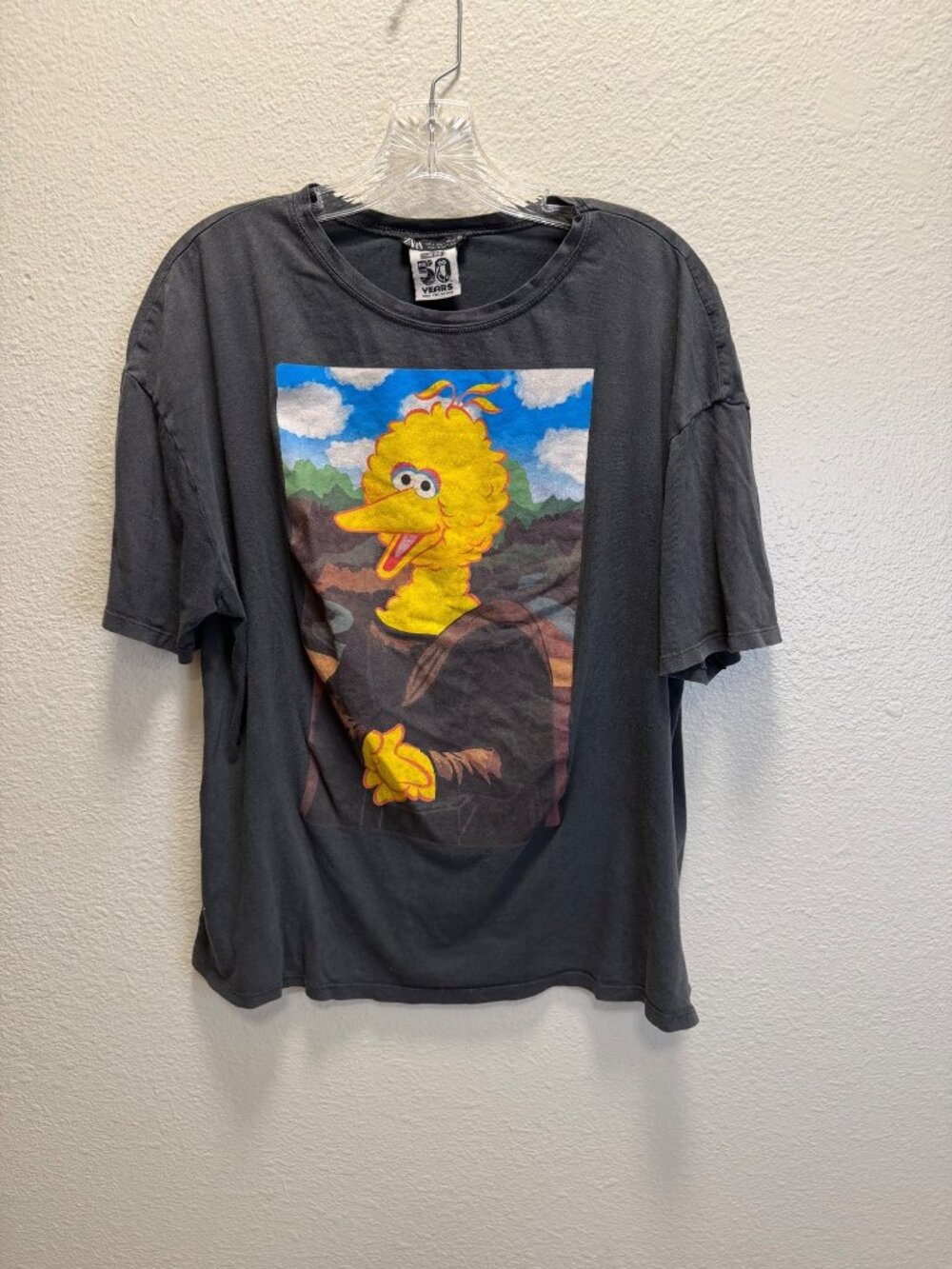 Sesame Street 50 Years Zara Big Bird Graphic Tee Gray woman's Size L